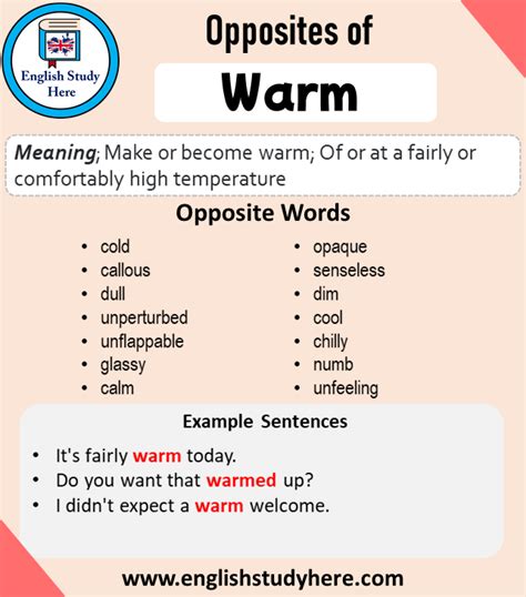 warmly antonyms